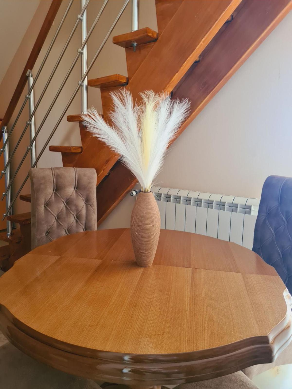 Apartmani Jasmina Златибор Екстериор снимка