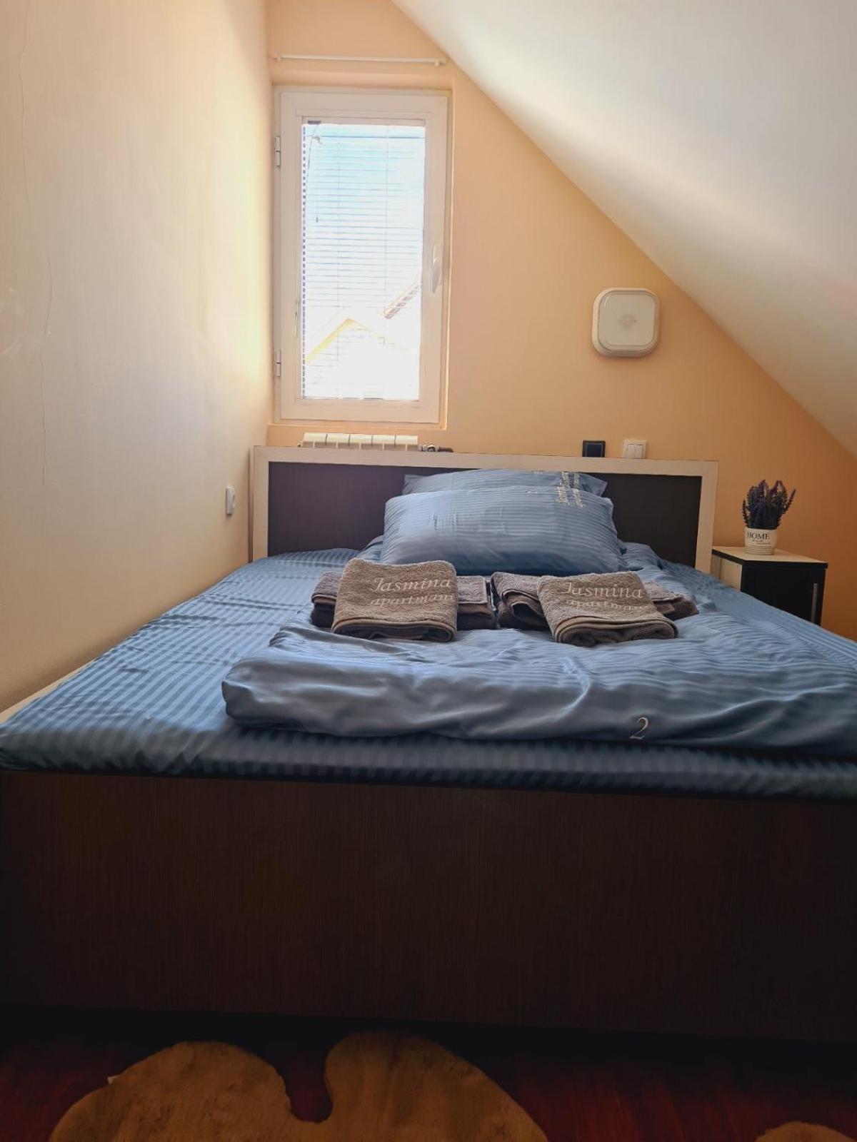 Apartmani Jasmina Златибор Екстериор снимка